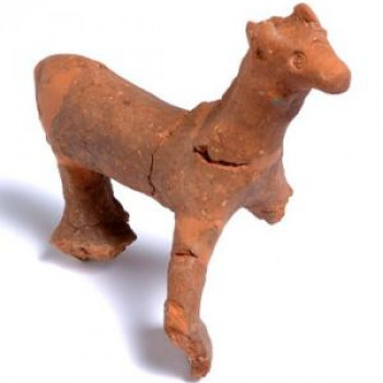 Museo civico "A. Crespellani"